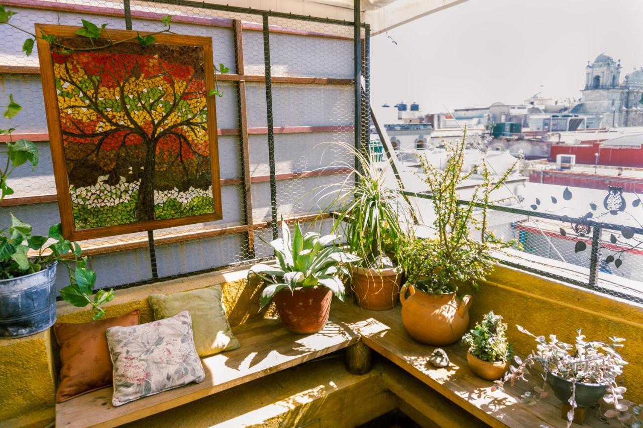 Boutique Hotel Casa Cid De Leon Oaxaca Kültér fotó